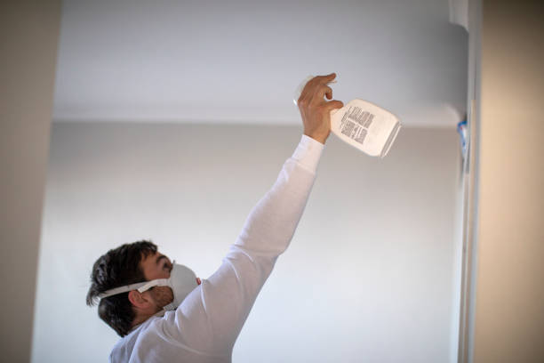 Best Same-Day Mold Removal  in Amherst, OH